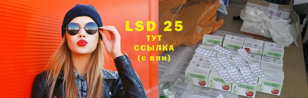 ГАЛЛЮЦИНОГЕННЫЕ ГРИБЫ Алзамай