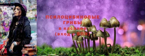 героин Алексин