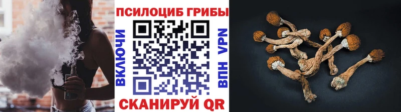 Галлюциногенные грибы GOLDEN TEACHER  Чадан 